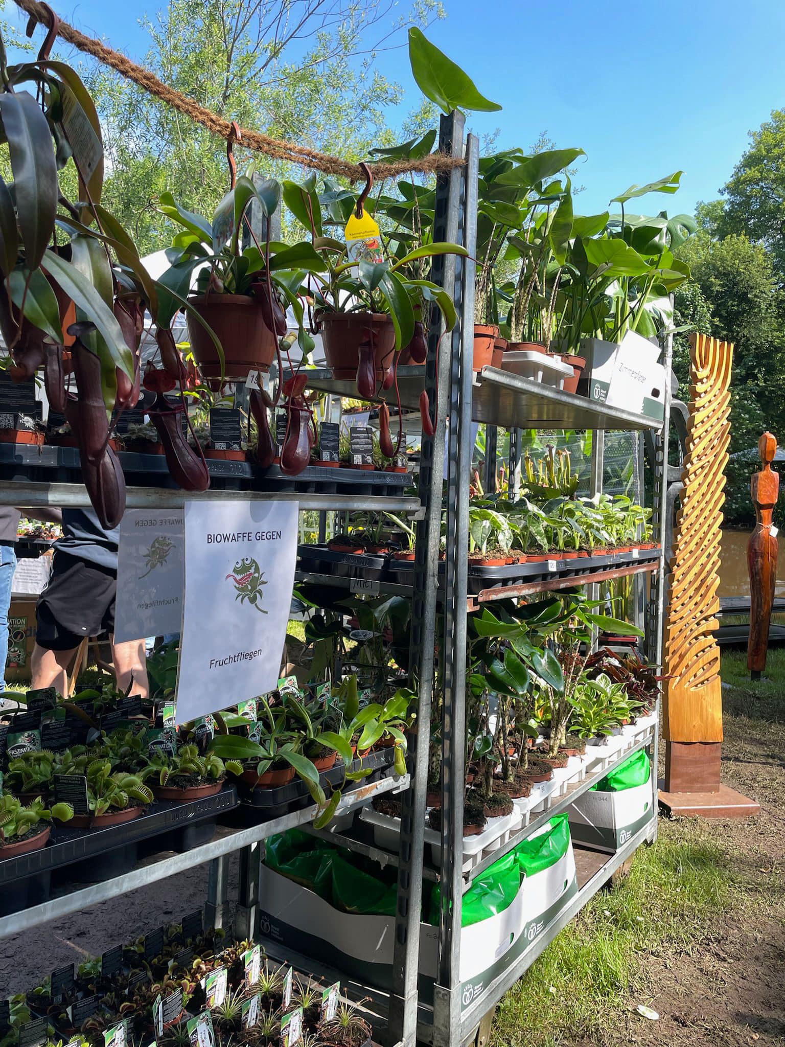 486788057_1137551771749305_8217035756961092772_n