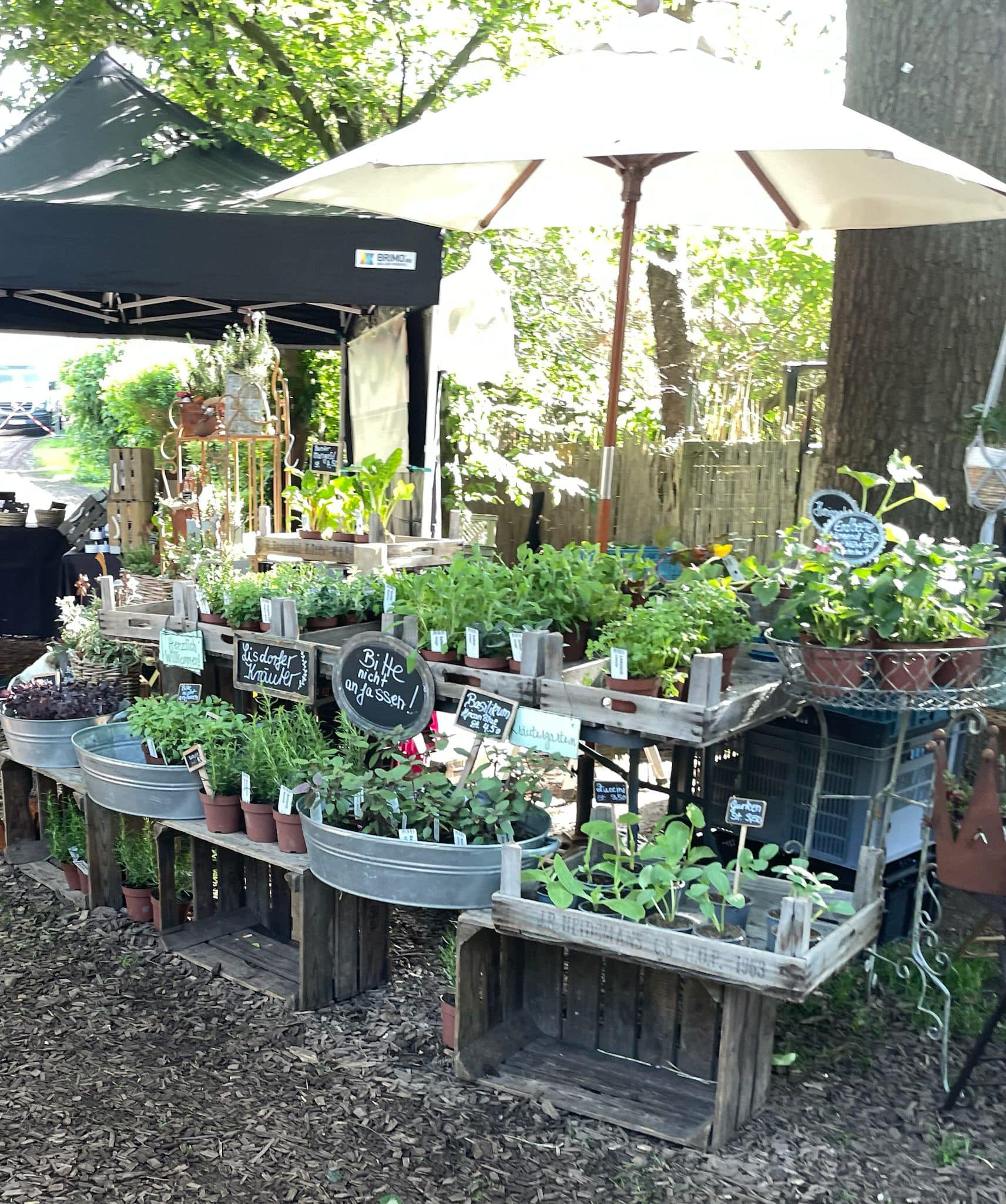 486794497_1137551818415967_1431837592671764324_n